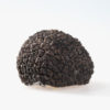 Tartufo Uncinato-Tuber Uncinatum 100 gr.