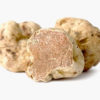 Tartufo Bianco – Tuber Magnatum Pico (NON DISPONIBILE)